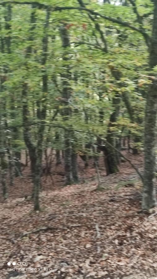 דירות פואבלה דה לילו Montes De Lillo --Vut Le 625 מראה חיצוני תמונה